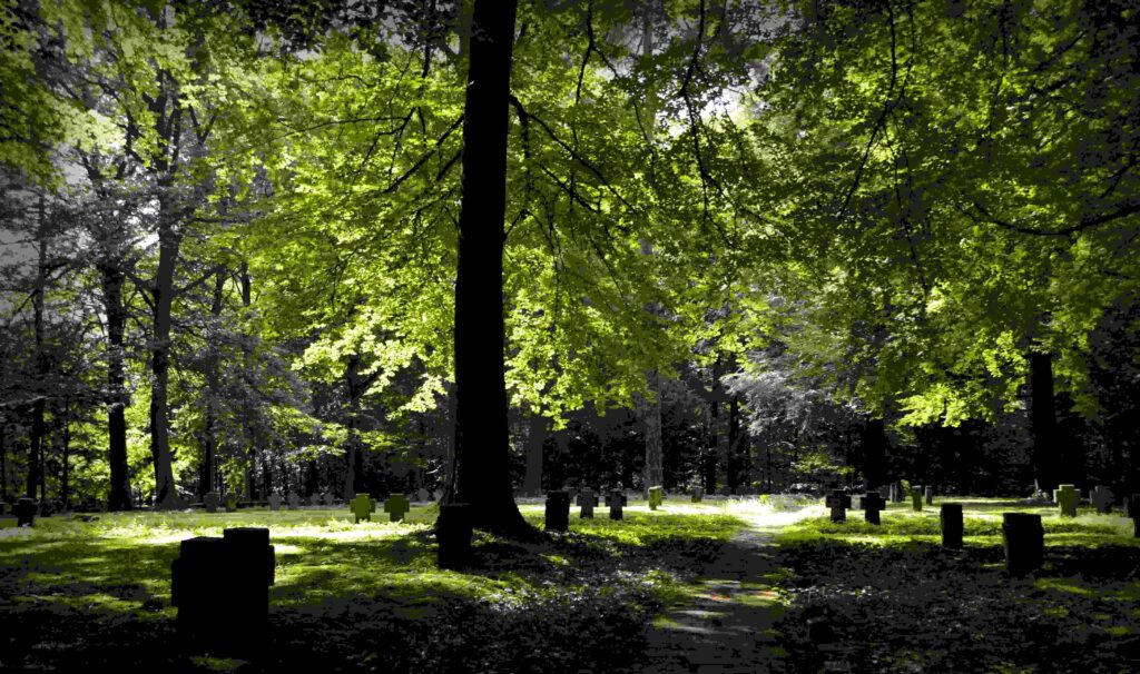 cemetary